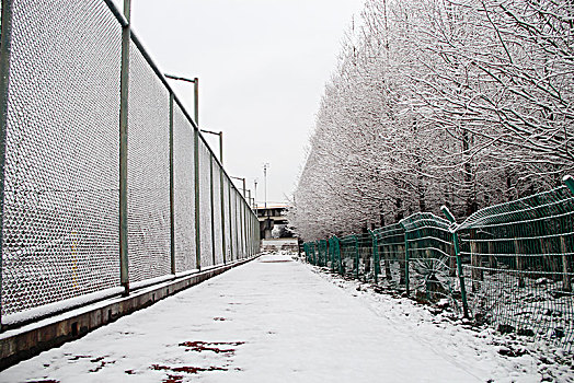 雪中篮球场