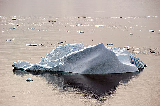 冰山,反射,水,南极