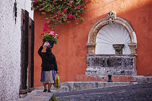 女人,花,头部,走,街道,圣米格尔,瓜纳华托,墨西哥