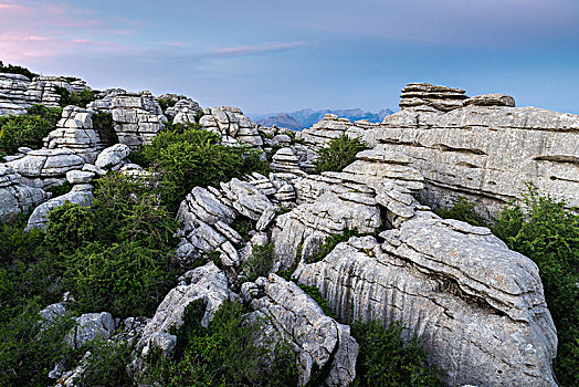 怪诞,石灰石,岩石构造,自然保护区,安提奎尔,省,马拉加,安达卢西亚,西班牙,欧洲