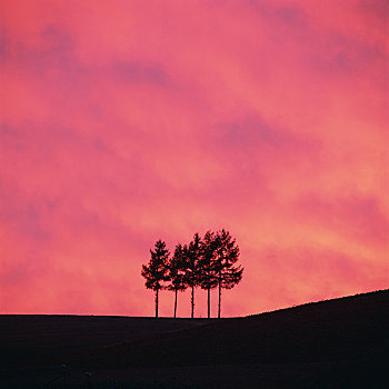 夜空