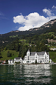 公园,酒店,琉森湖,瑞士