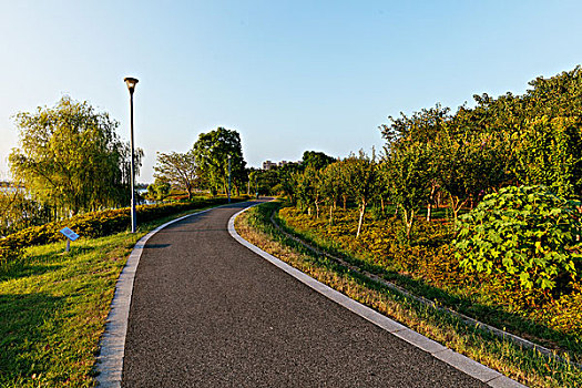 道路