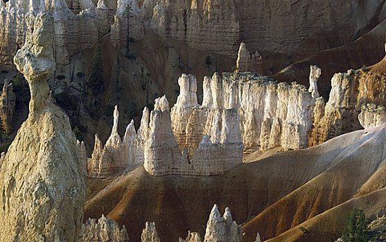 俯拍,岩石构造,布莱斯峡谷国家公园,犹他,美国