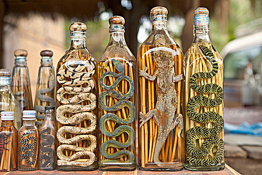 老挝,朗姆酒,瓶子,蛇,展示,市场货摊,琅勃拉邦,东南亚