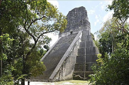 庙宇,玛雅,遗址,危地马拉,中美洲