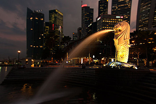鱼尾狮,公园,新加坡,晚间