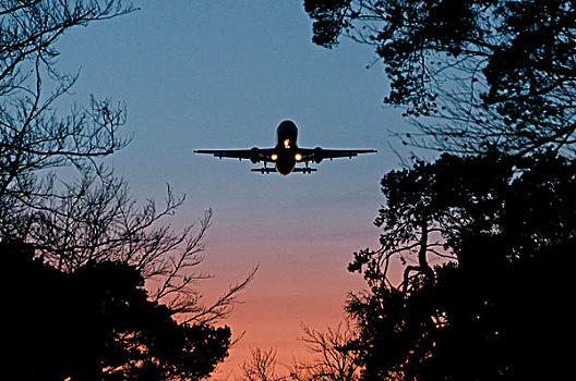 空中客车,a320,接近,陆地,黄昏,法兰克福,机场,黑森州,德国,欧洲