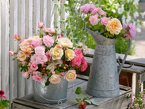 锡,桶,罐,混合,粉色,玫瑰,花园