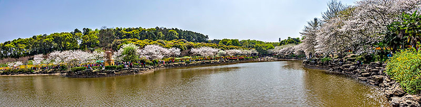 美丽樱花湖－湖南省森林植物园
