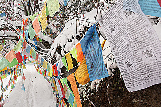 雪山藏经经幡