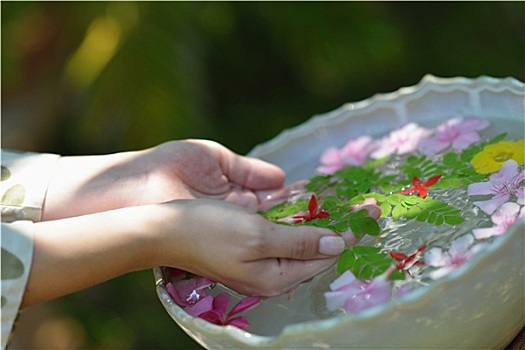 女性,手,花,水中