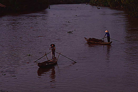 越南,省,湄公河三角洲,女人
