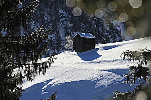 小屋,积雪,山