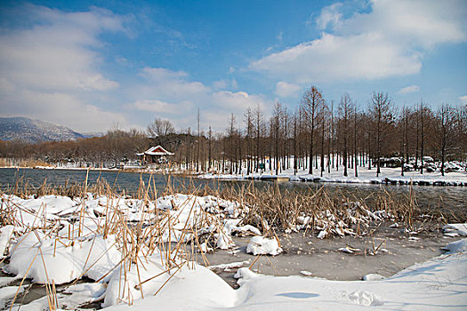 雪后天晴