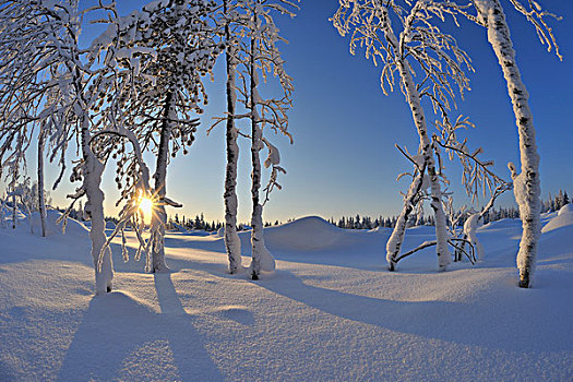 太阳,北方,芬兰