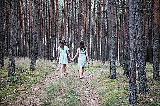 两个女孩,树林