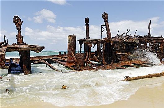 残骸,海滩,弗雷泽岛,昆士兰,澳大利亚