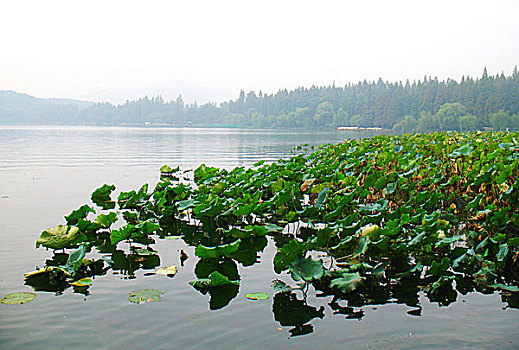 杭州西湖美景