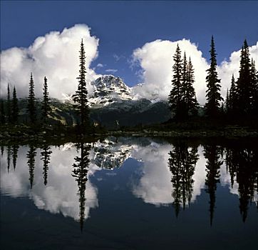 反射,树,山,湖,和谐,黑梳山,惠斯勒山,不列颠哥伦比亚省,加拿大