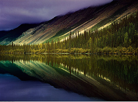 河,国家公园,加拿大西北地区,加拿大