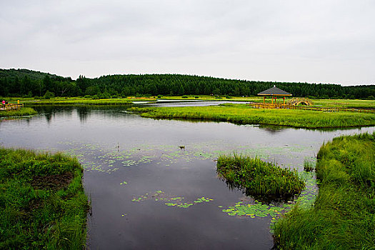 内蒙,坝上,乌兰木统,乌兰木统草原,红山,军马场,草原,草地