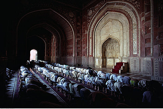 排,祈祷,清真寺,印度