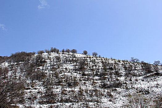 草原雪景