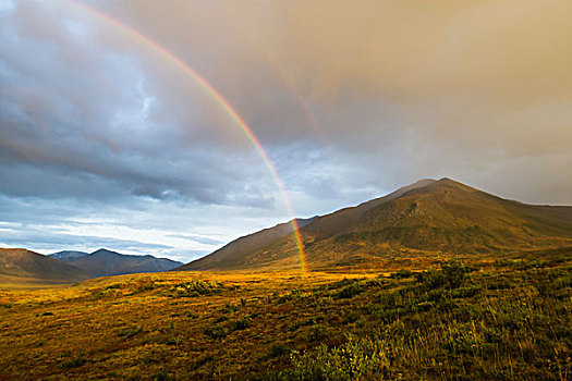 彩虹,布鲁克斯山,大门,北极圈,国家公园,阿拉斯加,高处,圆,美国