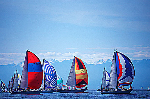 帆船赛,大三角帆,开端,维多利亚,温哥华岛,不列颠哥伦比亚省,加拿大