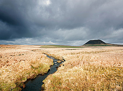 风景,湿地,山,安特里姆郡,北爱尔兰,英国