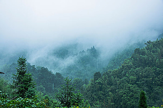 雨雾山景