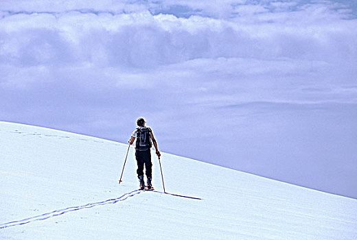 滑雪,靠近,针,顶峰,瀑布山,不列颠哥伦比亚省,加拿大