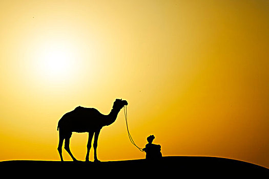 骆驼,领驼人,剪影,日落,塔尔沙漠,印度