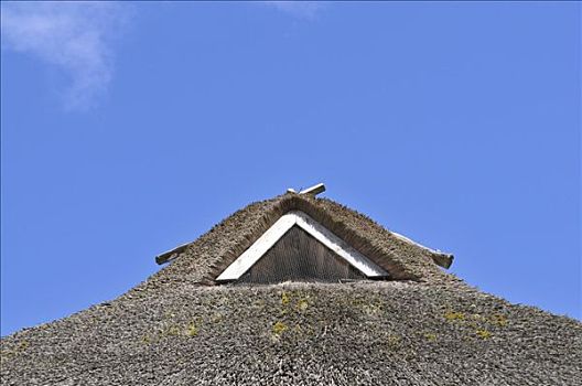 茅草屋顶,特写,石荷州,德国,欧洲