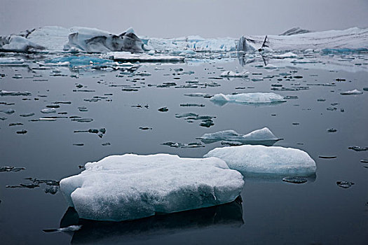 杰古沙龙湖,冰河,湾,冰,海岸,冰岛