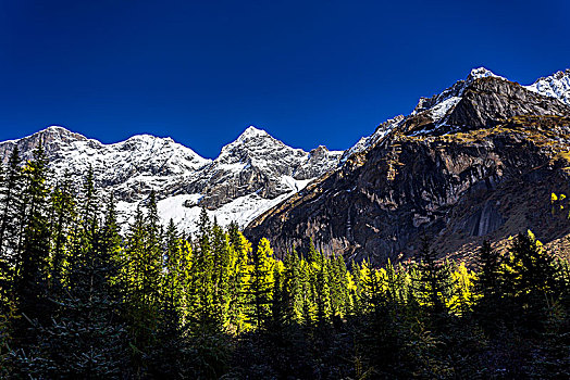 双桥沟四姑娘山