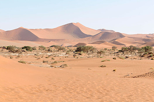 沙丘,风景,索苏维来地区,纳米布沙漠,纳米比沙漠,公园,纳米比亚,非洲