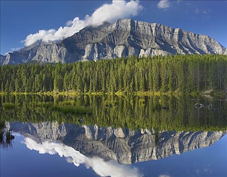 伦多山,北方针叶林,反射,班芙国家公园,艾伯塔省,加拿大