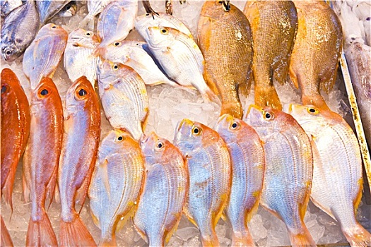 新鲜,鱼,鱼市,亚洲