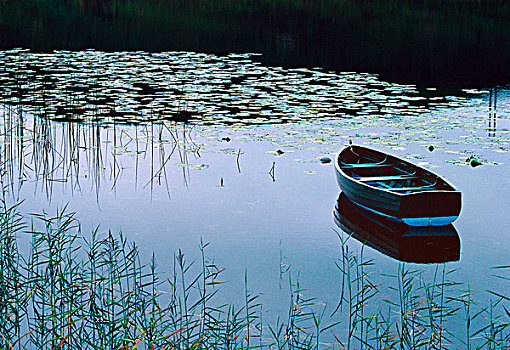 划桨船,小,湖,围绕,水,湖区国家公园,英格兰