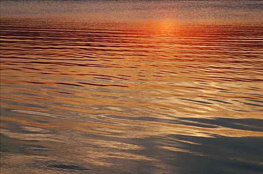 日落,上方,海洋,里塞凯尔,瑞典