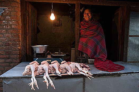 货摊,家禽,销售,尼泊尔人,帕坦,尼泊尔,亚洲
