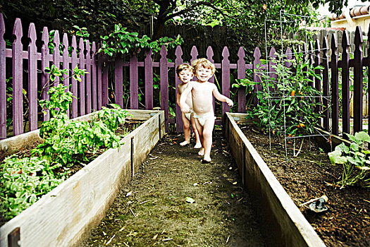 双胞胎,男孩,玩,花园