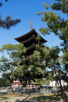 日本奈良兴福寺