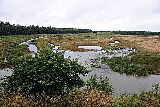 辽河