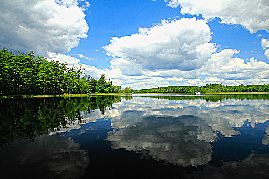 反射,云,湖,新斯科舍省,加拿大