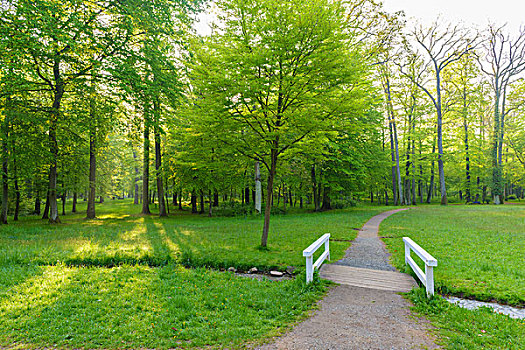 木桥,早春,公园,阿沙芬堡,弗兰克尼亚,巴伐利亚,德国