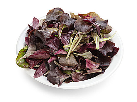 紫色,菠菜叶,碗,隔绝,白色背景