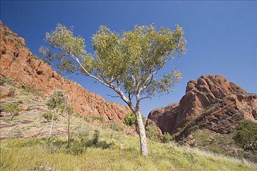 暸望,波奴鲁鲁国家公园,世界遗产,金伯利,西澳大利亚,澳大利亚